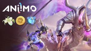Aniimo Gift Pack